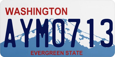 WA license plate AYM0713