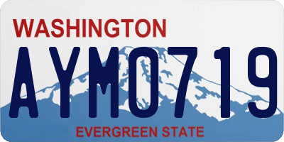 WA license plate AYM0719