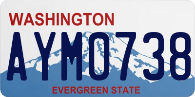 WA license plate AYM0738