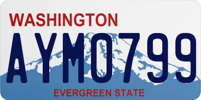 WA license plate AYM0799