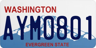WA license plate AYM0801