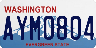 WA license plate AYM0804
