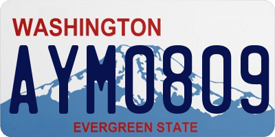 WA license plate AYM0809
