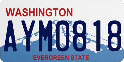 WA license plate AYM0818