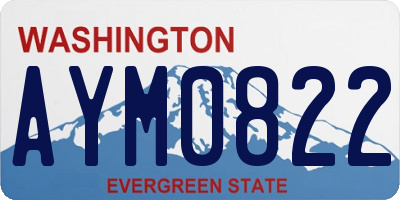 WA license plate AYM0822