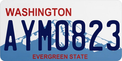 WA license plate AYM0823