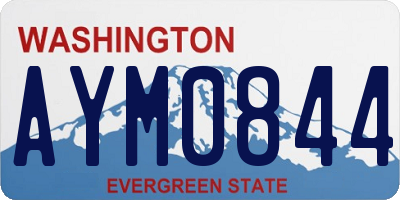 WA license plate AYM0844