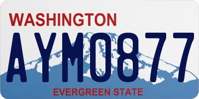 WA license plate AYM0877