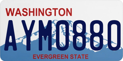 WA license plate AYM0880