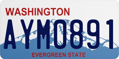 WA license plate AYM0891