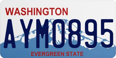 WA license plate AYM0895
