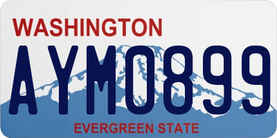 WA license plate AYM0899