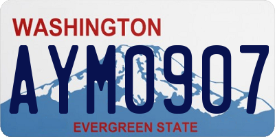 WA license plate AYM0907