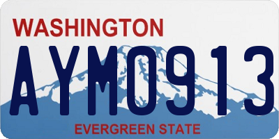 WA license plate AYM0913