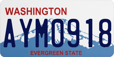 WA license plate AYM0918