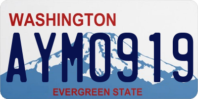 WA license plate AYM0919