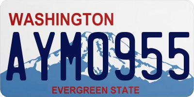 WA license plate AYM0955