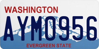WA license plate AYM0956