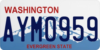 WA license plate AYM0959
