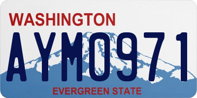 WA license plate AYM0971