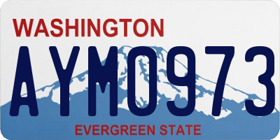 WA license plate AYM0973