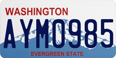 WA license plate AYM0985