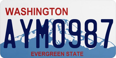 WA license plate AYM0987
