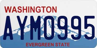 WA license plate AYM0995