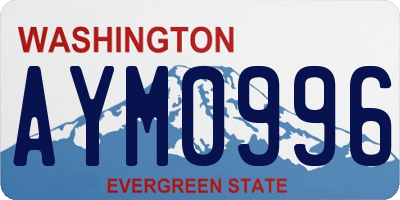 WA license plate AYM0996