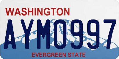WA license plate AYM0997