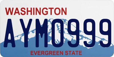 WA license plate AYM0999