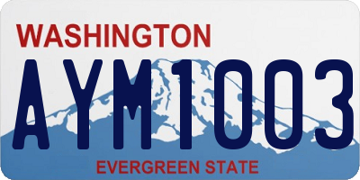 WA license plate AYM1003