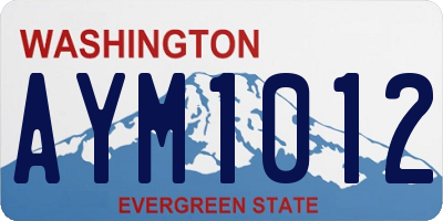 WA license plate AYM1012