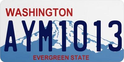 WA license plate AYM1013
