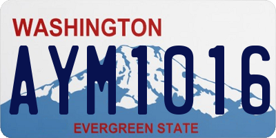 WA license plate AYM1016