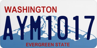WA license plate AYM1017