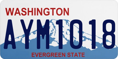 WA license plate AYM1018
