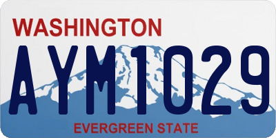 WA license plate AYM1029