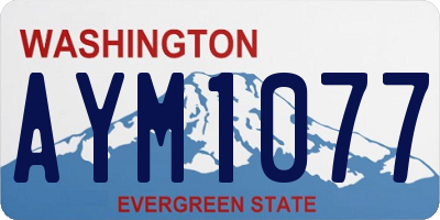 WA license plate AYM1077