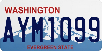 WA license plate AYM1099