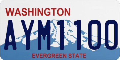 WA license plate AYM1100