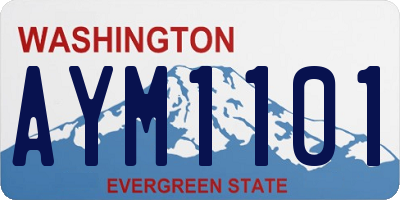 WA license plate AYM1101