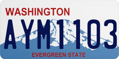 WA license plate AYM1103