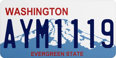 WA license plate AYM1119