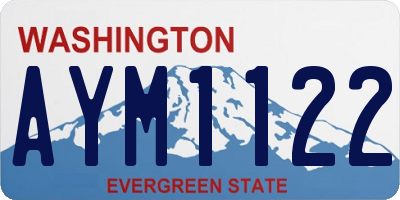 WA license plate AYM1122
