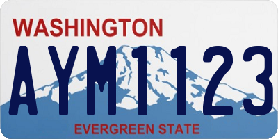 WA license plate AYM1123