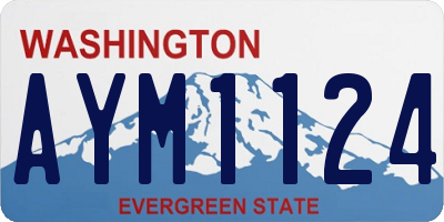 WA license plate AYM1124