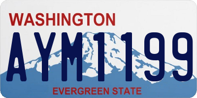 WA license plate AYM1199