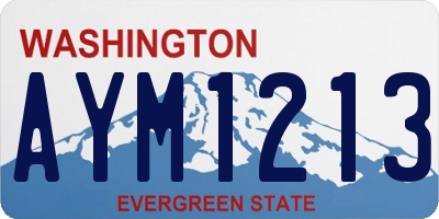 WA license plate AYM1213