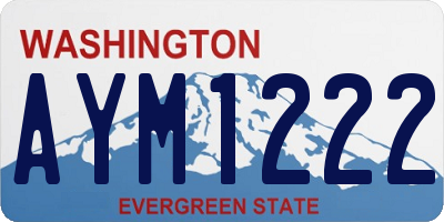 WA license plate AYM1222